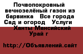 Почвопокровный, вечнозелёный газон из барвинка - Все города Сад и огород » Услуги   . Ханты-Мансийский,Урай г.